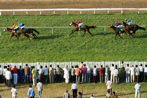 andrew mount tips today